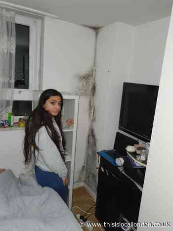 Enfield student fears mould in flat is affecting her health