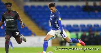 Celtic plotting summer move for £11m Cardiff City winger Josh Murphy - reports