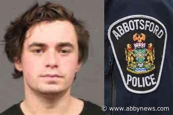 Teen accused in Abbotsford attack on 85-year-old convicted of firearms offence - Abbotsford News