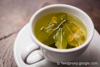 Dealing With Coca — Both Traditional Beverage and Illicit Drug Precursor