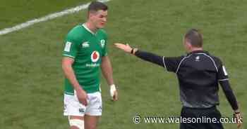 'That's enough!' Referee sends Johnny Sexton away for questioning Wales try in Ireland Six Nations clash