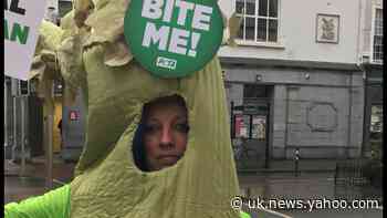 Activist dressed as stick of celery highlights climate change at Irish polling station
