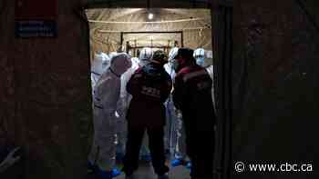 Deaths from coronavirus climb to 724 as WHO-led team prepares to leave for China