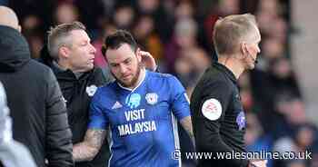 Defiant Neil Harris issues play-off challenge to Cardiff City players after Luton Town win