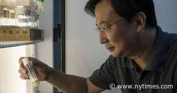 China’s Lavish Funds Lured U.S. Scientists. What Did It Get in Return?