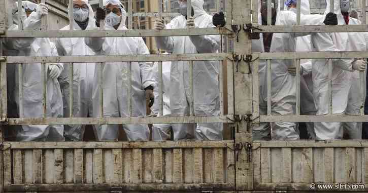 China virus cases increase as more preventive measures taken