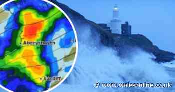 The latest Storm Ciara details as Cardiff and Swansea face fiercest winds