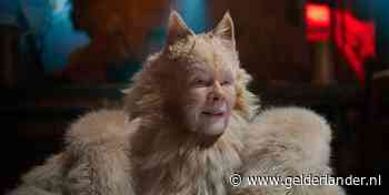Acht nominaties voor ‘weerzinwekkende’ film Cats bij Razzies