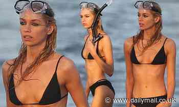 Stella Maxwell puts her bikini body on display in a skimpy black two-piece while snorkeling in Miami