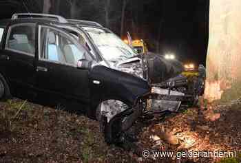 Bestuurder gewond door botsing tegen boom in Doetinchem