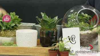 Designer Cory Christopher talks ways to “grow your love” with Valentine’s plants