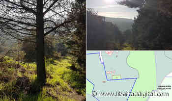 Iglesias y Montero "racanearon" los gastos a la constructora que iba a edificar su casa en la finca de Parquelagos - Libertad Digital