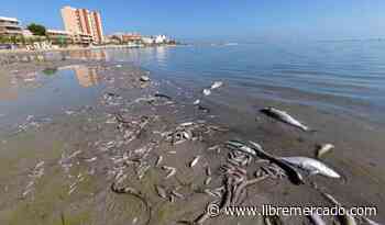Montero chantajea al Gobierno murciano para que suba los impuestos - Libre Mercado