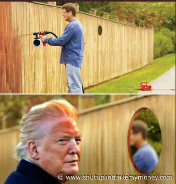 Trump Orange Face Meme – Fence Spray Paint