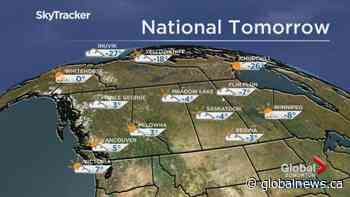 Edmonton weather forecast: Saturday, Feb. 8