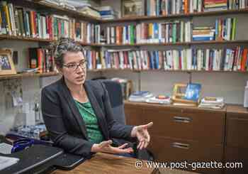 Pitt professor: Past outbreaks provide lessons for figuring out new coronavirus