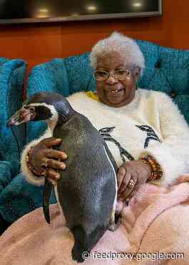 Guests gather in suits of black and white to fulfil Care UK wish initiative