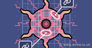 Targeting cancer is about to get easier – thanks to DNA sequencing