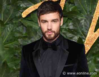 Why Liam Payne Hasn't Heard From Zayn Malik in Years - E! NEWS