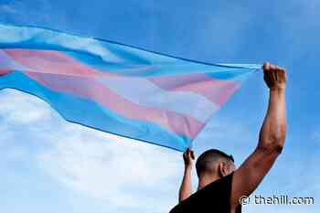 The dangers of criminalizing medical care for trans youth | TheHill - The Hill