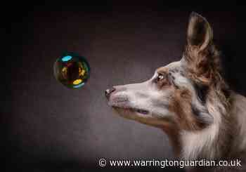 Amazing picture earns Lower Walton photographer major national prize