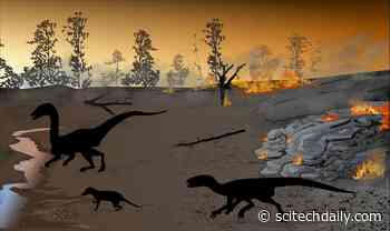 The ‘Firewalkers’ of Karoo: Dinosaurs Left Tracks in a ‘Land of Fire’ 183 Million Years Ago