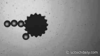 Microscopic Robots, Remotely Driven by Magnetic Fields, Coax Particles Into Position Using Capillary Forces