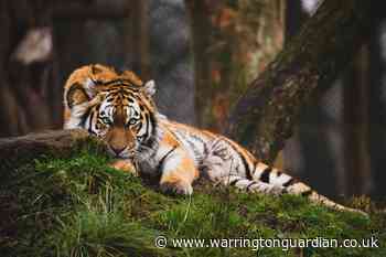 Your guide to keeping the kids entertained this half term