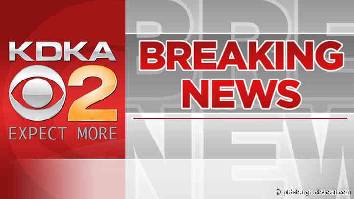 Police Respond To E. Warrington Avenue Shooting, Juvenile Female Found Dead