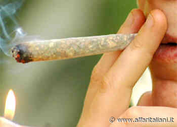 L'erba di Stato in Canada e negli Stati Uniti - Affaritaliani.it