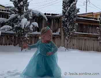 This Little Girl Reenacting Her Favorite Frozen Scene Will Melt Your Heart