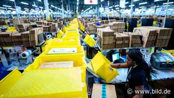 Regierungs-Plan: Kommt ein Gesetz gegen Wegwerfmentalität? - BILD