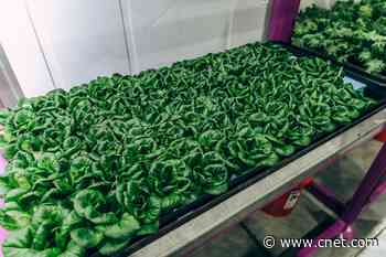 Robot farmers are changing the future of agriculture     - CNET