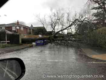Storm Ciara: Tree falls onto parked car on Barrymore Road