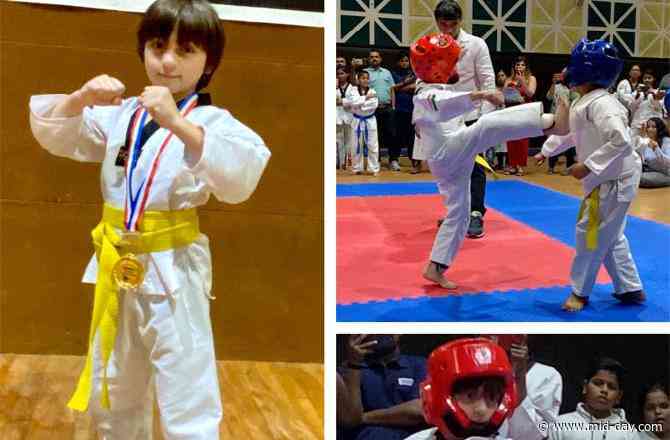 Shah Rukh Khan introduces the newest Karate Kid in Bollywood- AbRam Khan