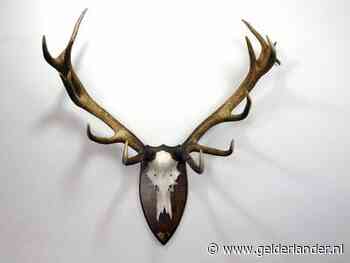 Arnhemmer gaat politie te lijf met een gewei