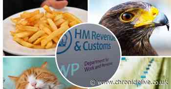 33 things you only know if you've worked at 'the Ministry' for HMRC in Longbenton