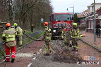 Brandweer Ede druk met meldingen van stormschade