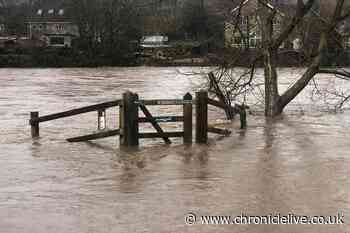 In pictures: The Tyne is high as Storm Ciara rages through the North East