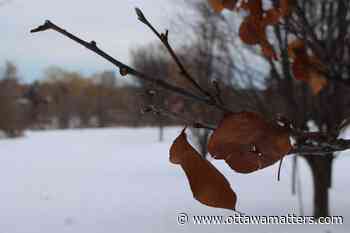 Good morning, Ottawa! about 13 hours ago - OttawaMatters.com