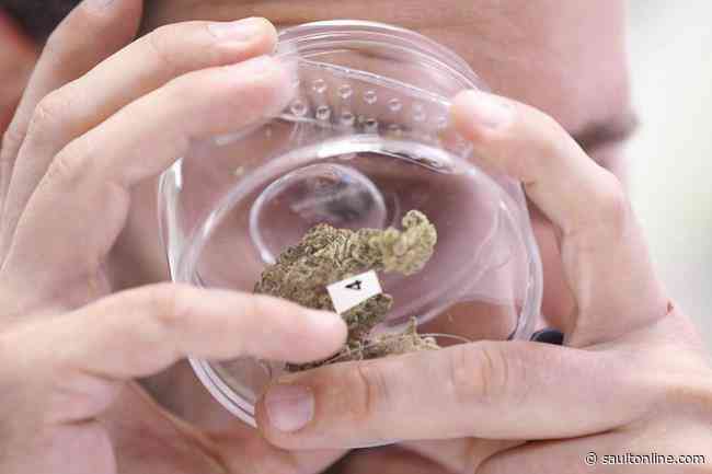 Cannabis 2.0 offers window into pot returns policies and challenges