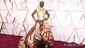 PHOTOS: Oscars 2020 red carpet fashion; stars arrive at 92nd Academy Awards