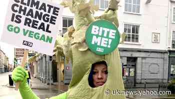 Politician declares ‘to hell with the planet’ following celery stick protest