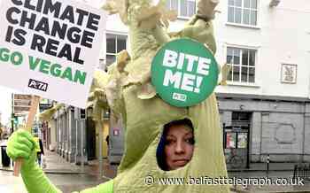Politician declares ‘to hell with the planet’ following celery stick protest
