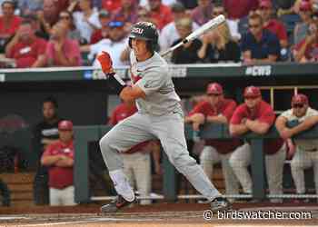 Baltimore Orioles: Catching Prospects To Watch In 2020 - Birds Watcher