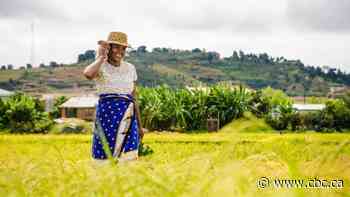 Saskatoon-based tech team helping people access vital information through cellphone games, hotlines