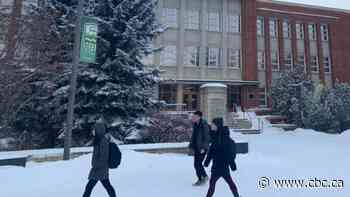 Report on campus sexual violence calls on province to develop policy framework