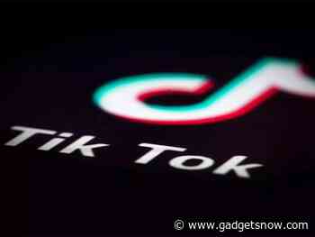 Engaging closely with academia, civil society to enrich platform: TikTok