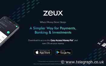 London Underground ads for cryptocurrency 'savings' scheme taken down - Telegraph.co.uk