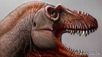 New 'reaper of death' tyrannosaur is the oldest found in Canada